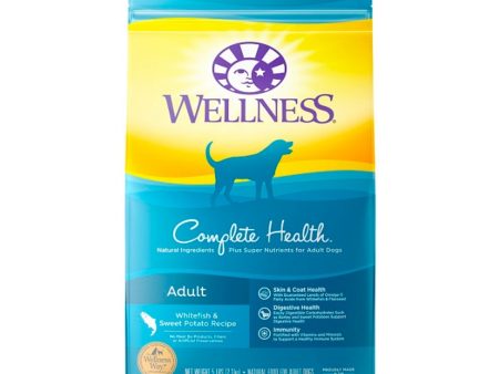 Wellness Dog  Whitefish Sweet Potato 5Lb Adult Complete Health Supply