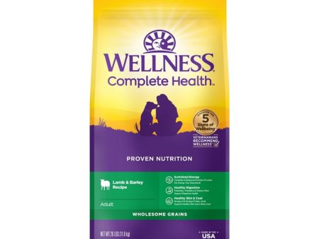 Wellness Complete Health 26Lb Lamb Barley Adult For Sale