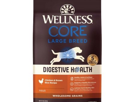 Wellness Core Digestive Health 24Lb Large Breed Chicken Brown Rice For Discount