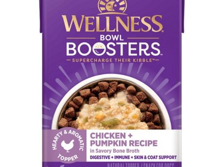 Wellness Bowl Boosters 5.5oz. Chicken Pumpkin Hearty Topper (Case of 12) Sale