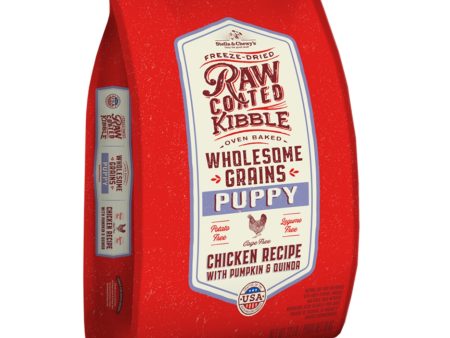 Stella & Chewy s Dog Raw Coated Wholesome Puppy Chicken Pumpkin Quinoa 22Lb Online Hot Sale