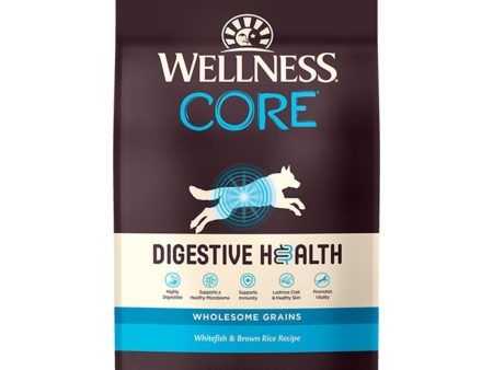 Wellness Dog Core Digestive Health Whitefish Recipe 22Lb Sale