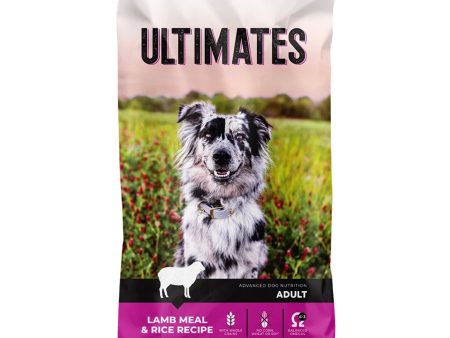 Ultimates Dry Dog Food Lamb Meal & Rice 1ea 5 lb Supply