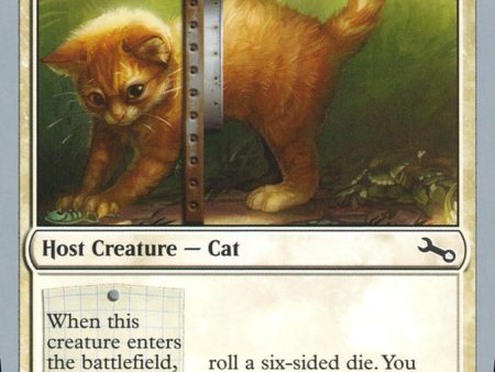 Adorable Kitten [Unstable] For Sale