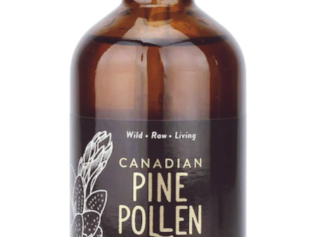 Canadian Pine Pollen Lodgepole Pine Tincture  (100 ml) For Sale