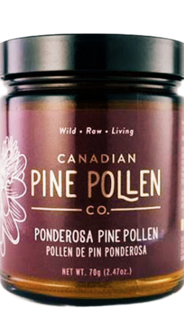 Canadian Pine Pollen Ponderosa Pine Pollen Sale