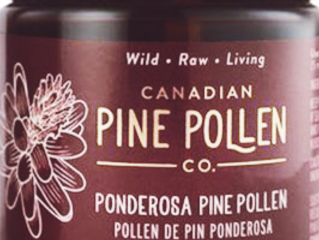 Canadian Pine Pollen Ponderosa Pine Pollen Sale