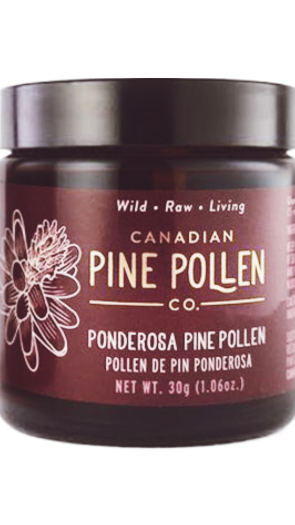 Canadian Pine Pollen Ponderosa Pine Pollen Sale